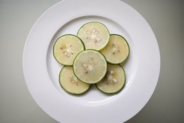 Lime Slices